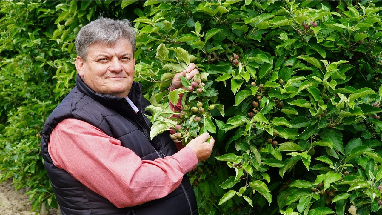 #4 Komunikat sadowniczy Zbigniew Marek 21.05.2025