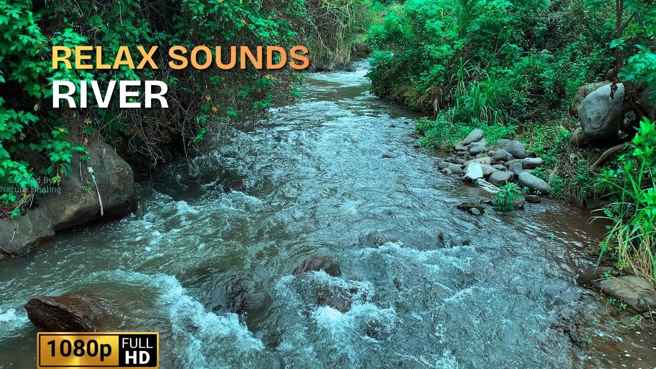 Nature Water Sound Without Music Deep Relaxation & Study Focus