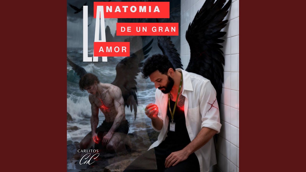 Anatomia de un Amor