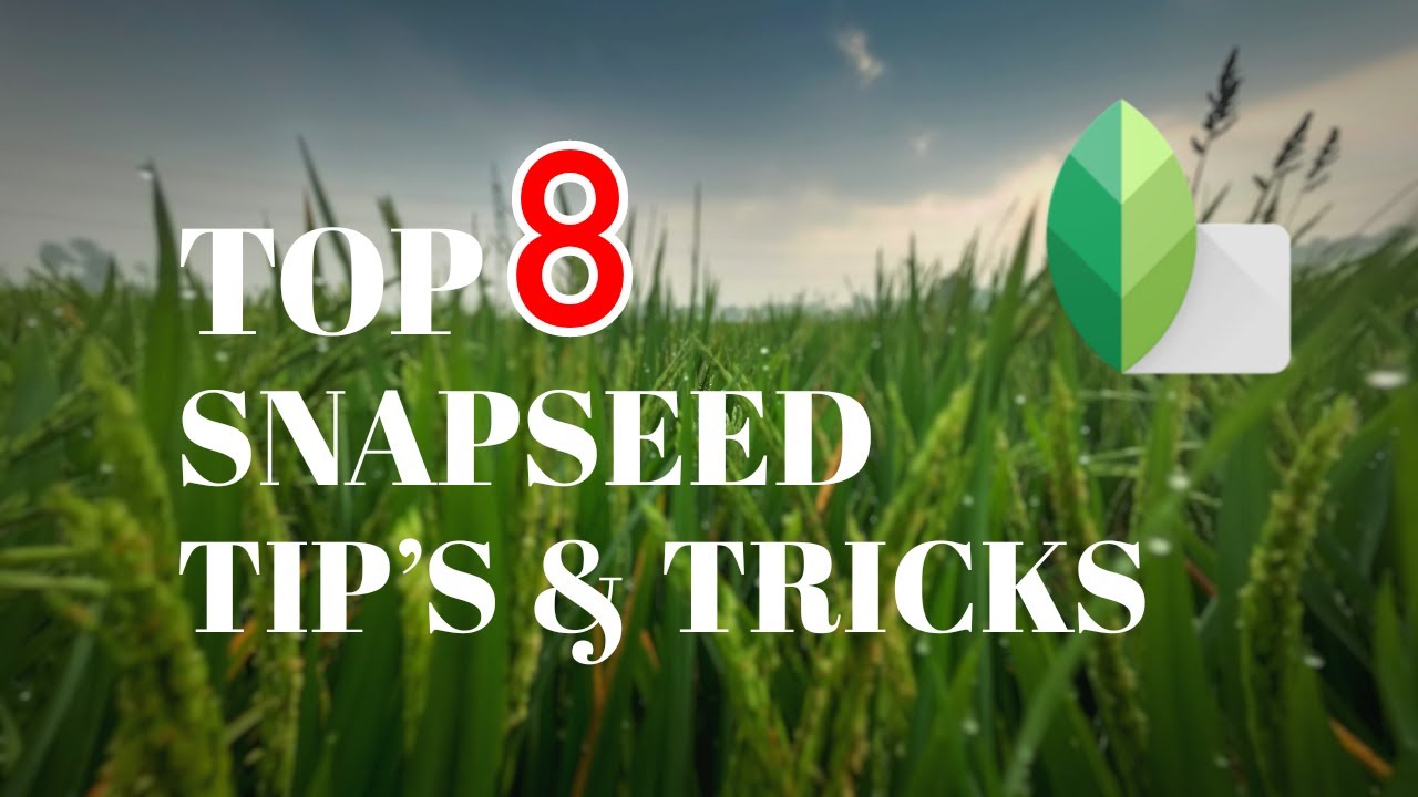Snapseed | TOP 8 Tips & Tricks | Android & iphone | 2020