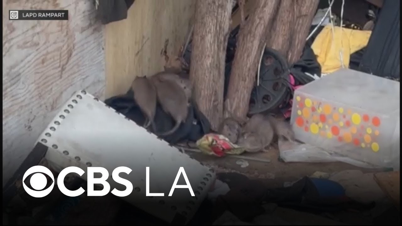 Los Angeles police clear rat-infested homeless encampment in Pico Union