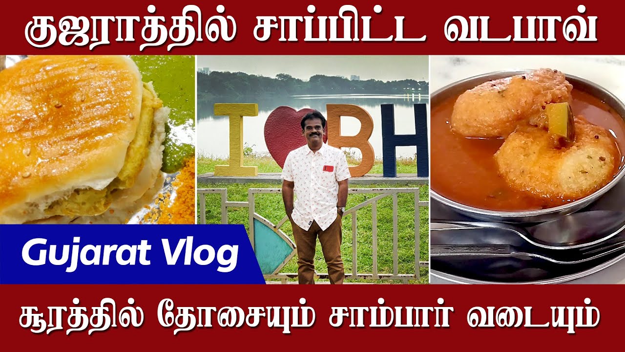 என் மகனை பார்க்க குஜராத் போனேன் | Gujarat Vlog | Magilvom
