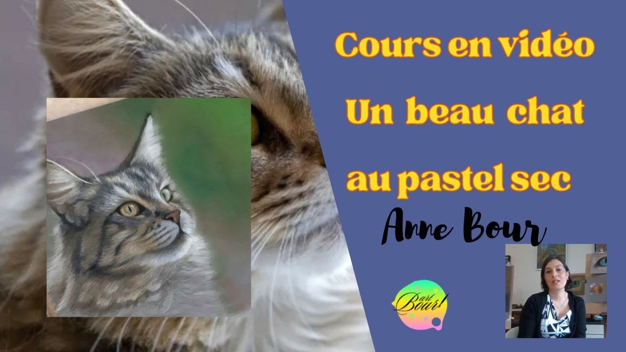 Extrait du cours sur un beau chat au pastel sec