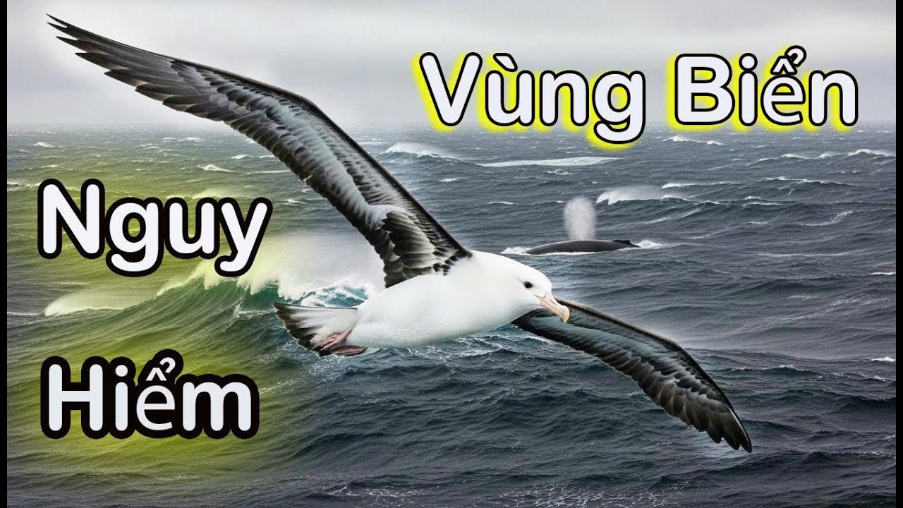 Biển Khắc Nghiệt Nhất Trái Đất Chu Kỳ Biển Cả Khiến Con Người Chỉ Là Hạt Bụi !