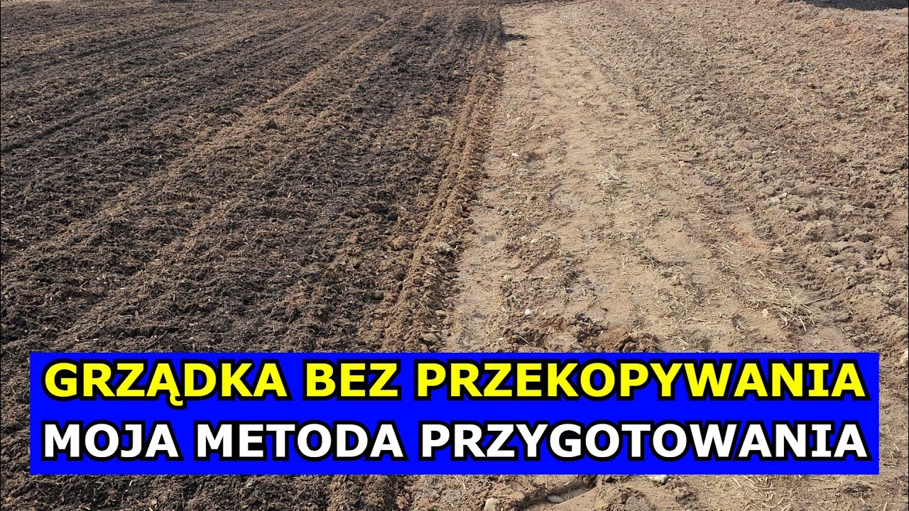 Grządka Bez Przekopywania Przygotowanie Pola pod Uprawę Warzyw Metoda NO DIG Back to Eden infouprawa