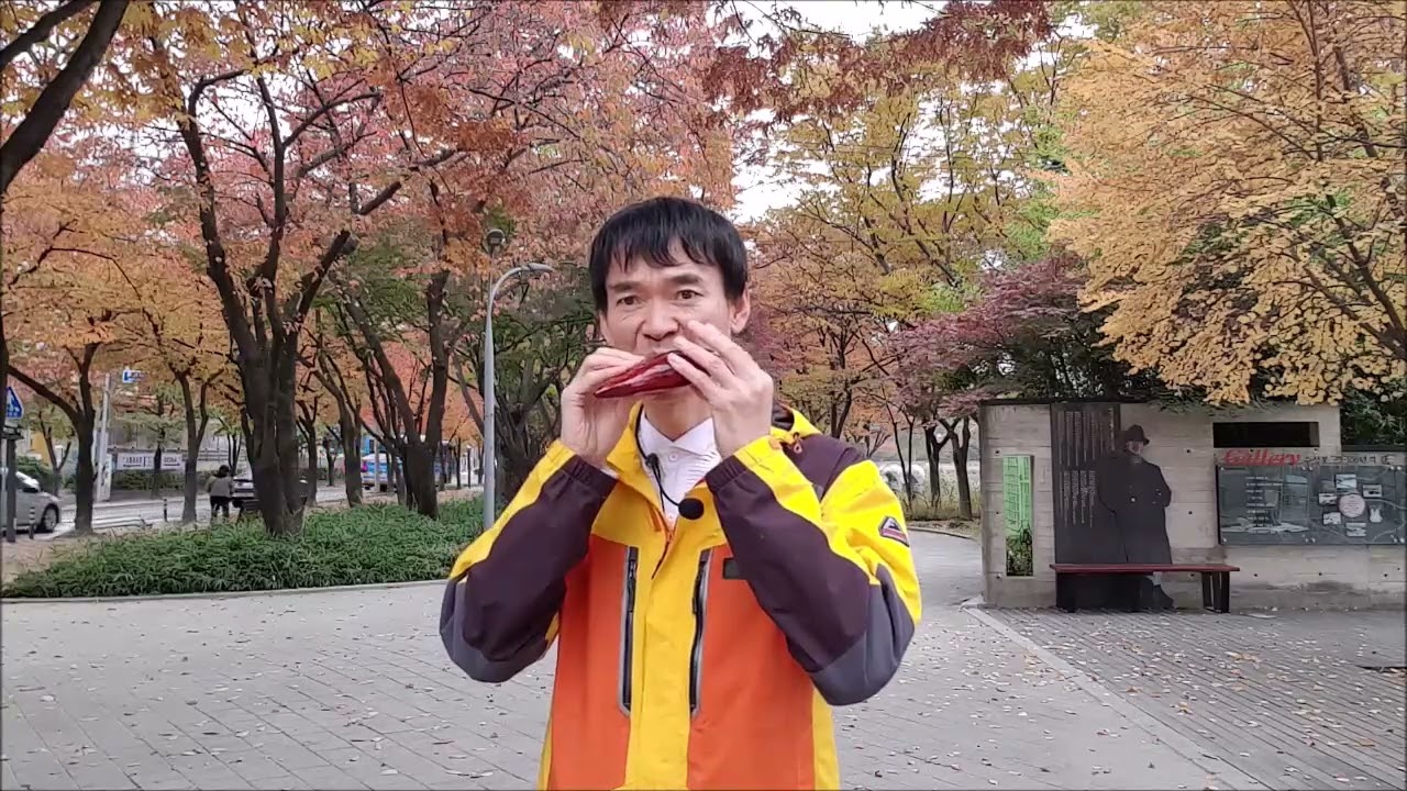 인생의 회전목마_오카리나 연주