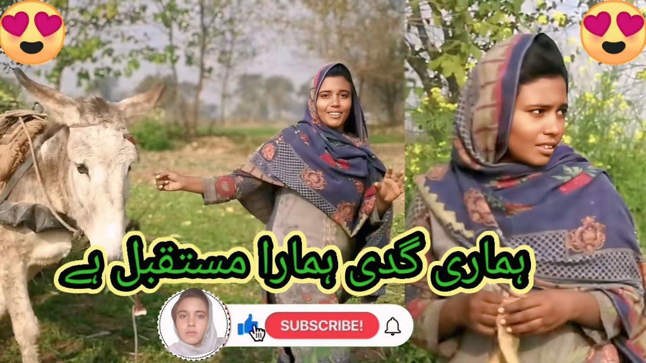ہماری گدھی ہمارا مستقبل ہے🤔😱😱