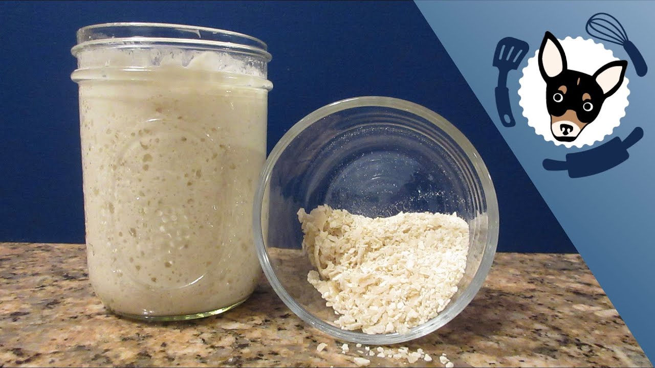 Store Sourdough Starter Longterm Without Feeding