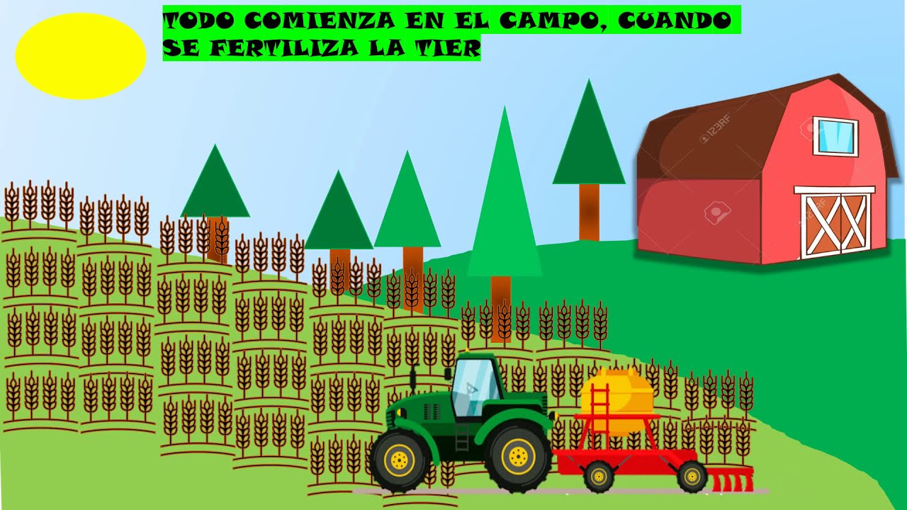 CIRCUITO PRODUCTIVO DE LA HARINA DE TRIGO