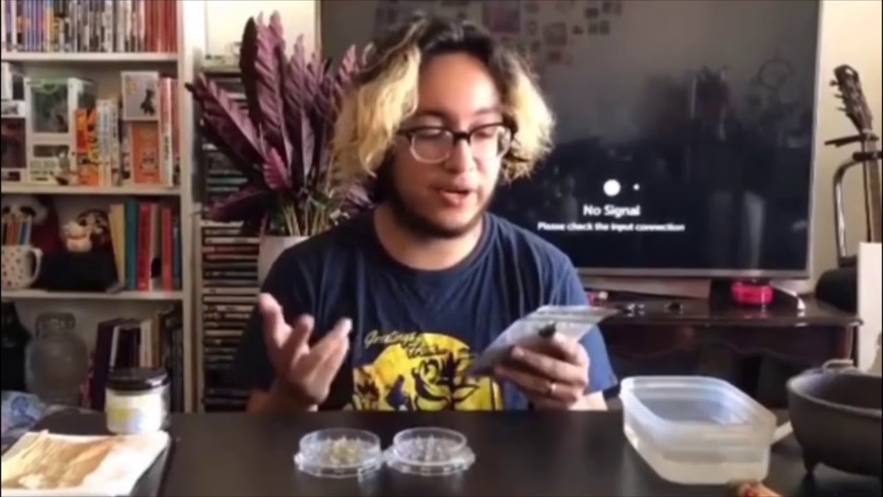 Million Bananas - review tutorial with @eamen___head