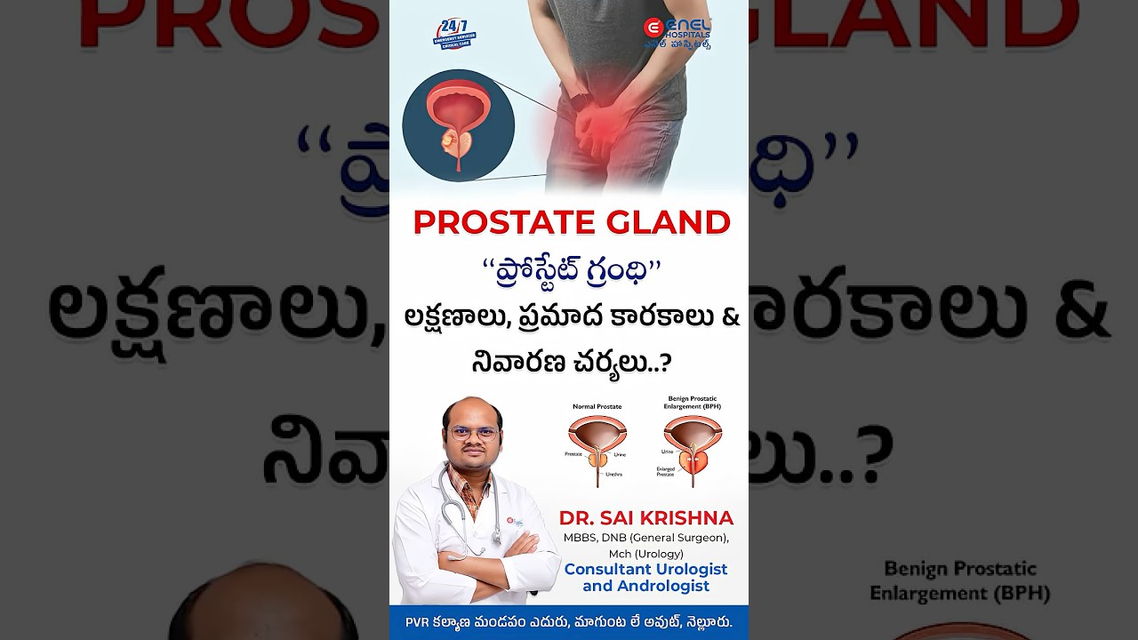 PROSTATE GLAND | ప్రోస్టేట్ గ్రంధి లక్షణాలు, ప్రమాద కారకాలు & నివారణ చర్యలు..?