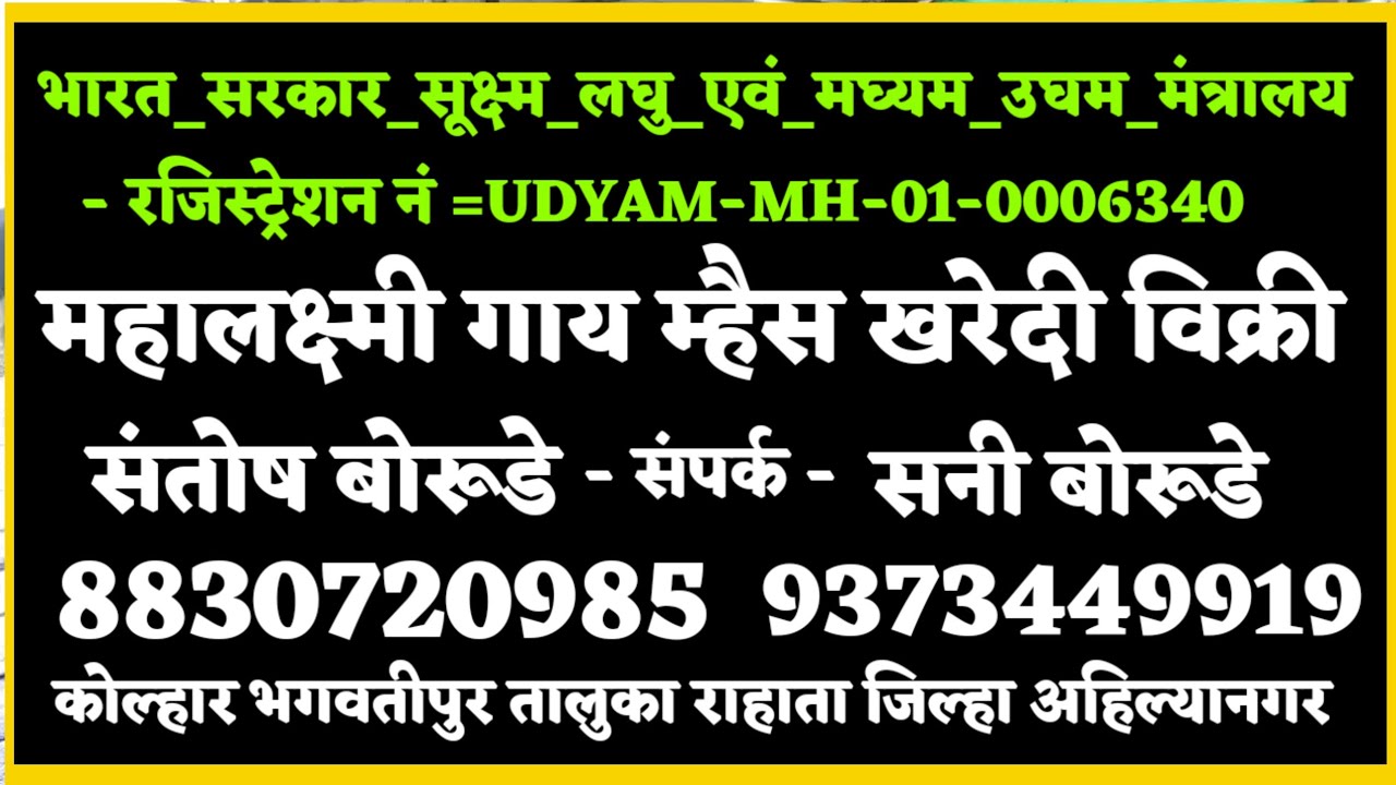 जास्त दूध देणाऱ्या गाई व म्हशी विक्रीसाठी | महालक्ष्मी खरेदी विक्री | 📞 8830720985 