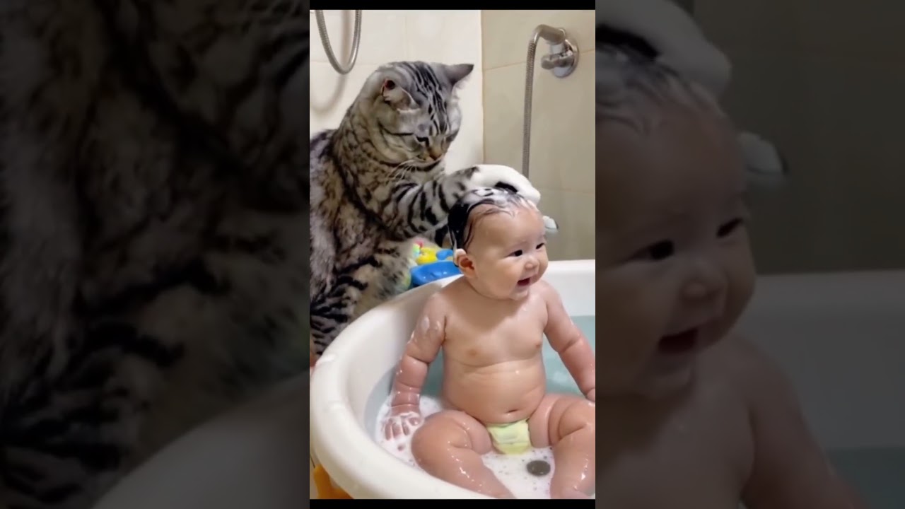 Wow mira lo que hacen estos gatos #reels #viralvideo #shortvideo #shorts #bebes #mascotas