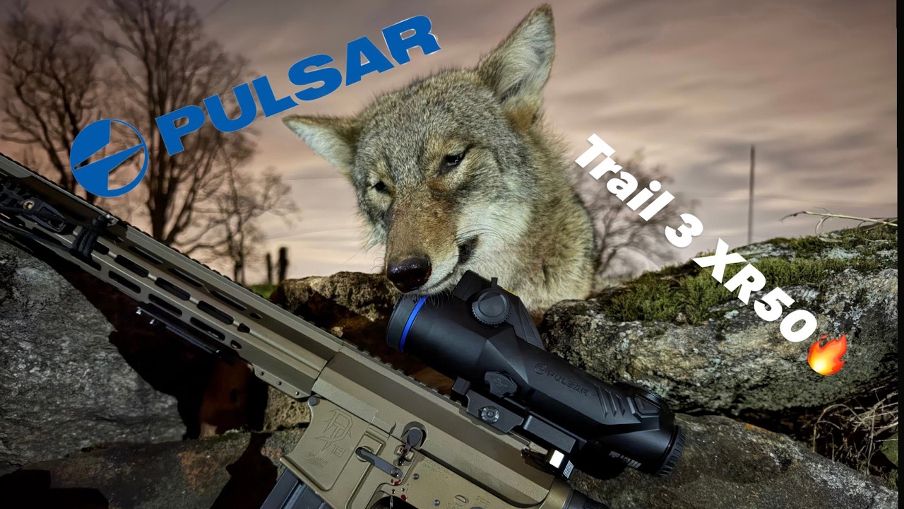 The Pulsar Trail 3 XR50 Is Finally Here - The Full Overview