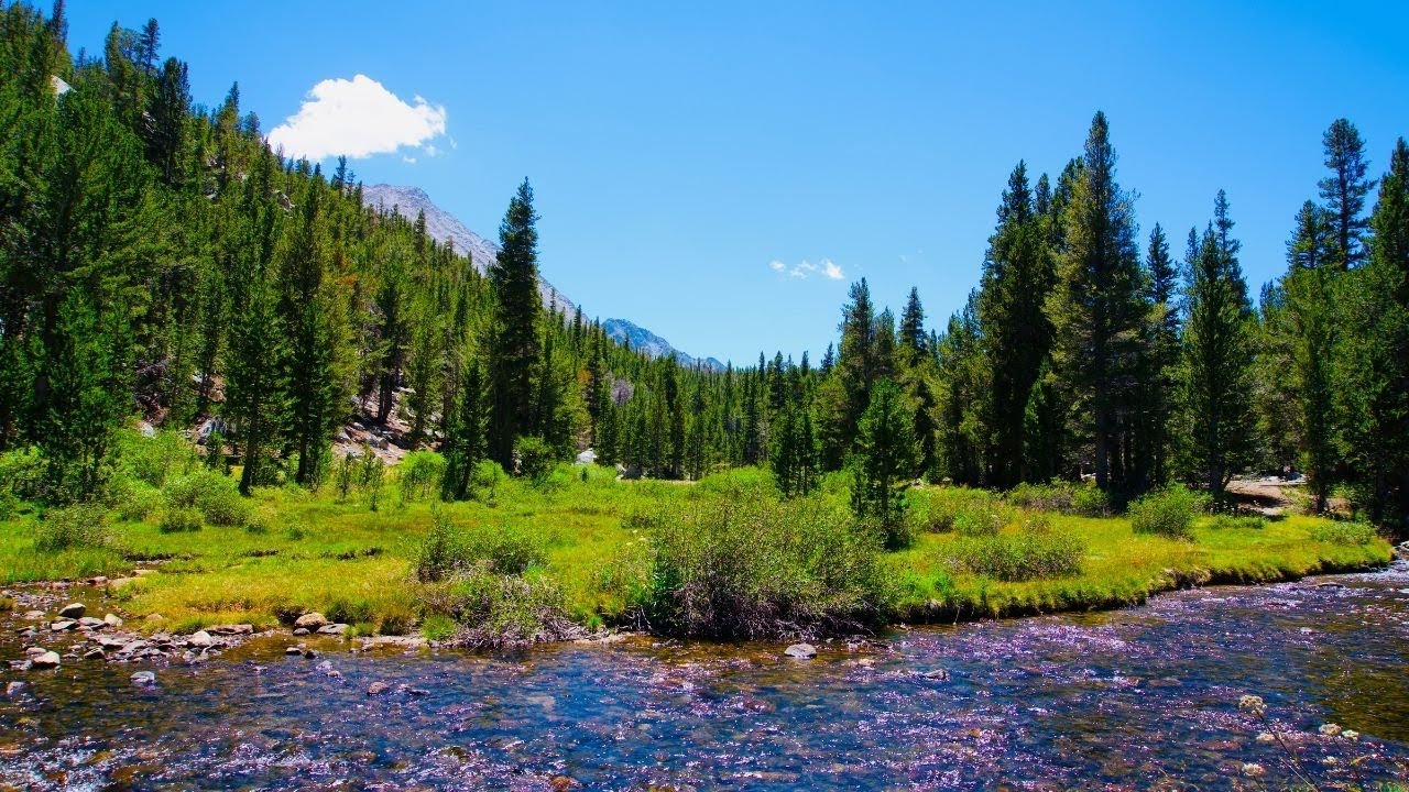 Camping & fishing in Rock Creek and Little Lakes Valley/ Inyo National Forest/ Eastern Sierra