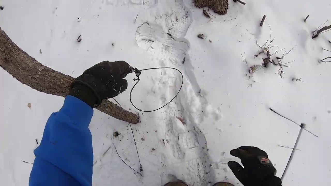 SETTING A BOBCAT LINE IN IOWA {MULTIPLE SETS IN SNOW} {VLOG 49}