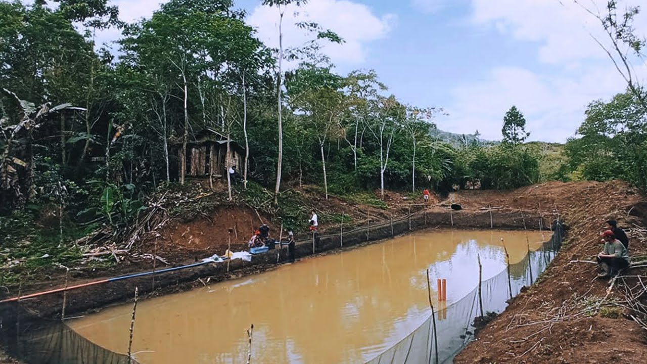 RAD Kois NEW mud pond