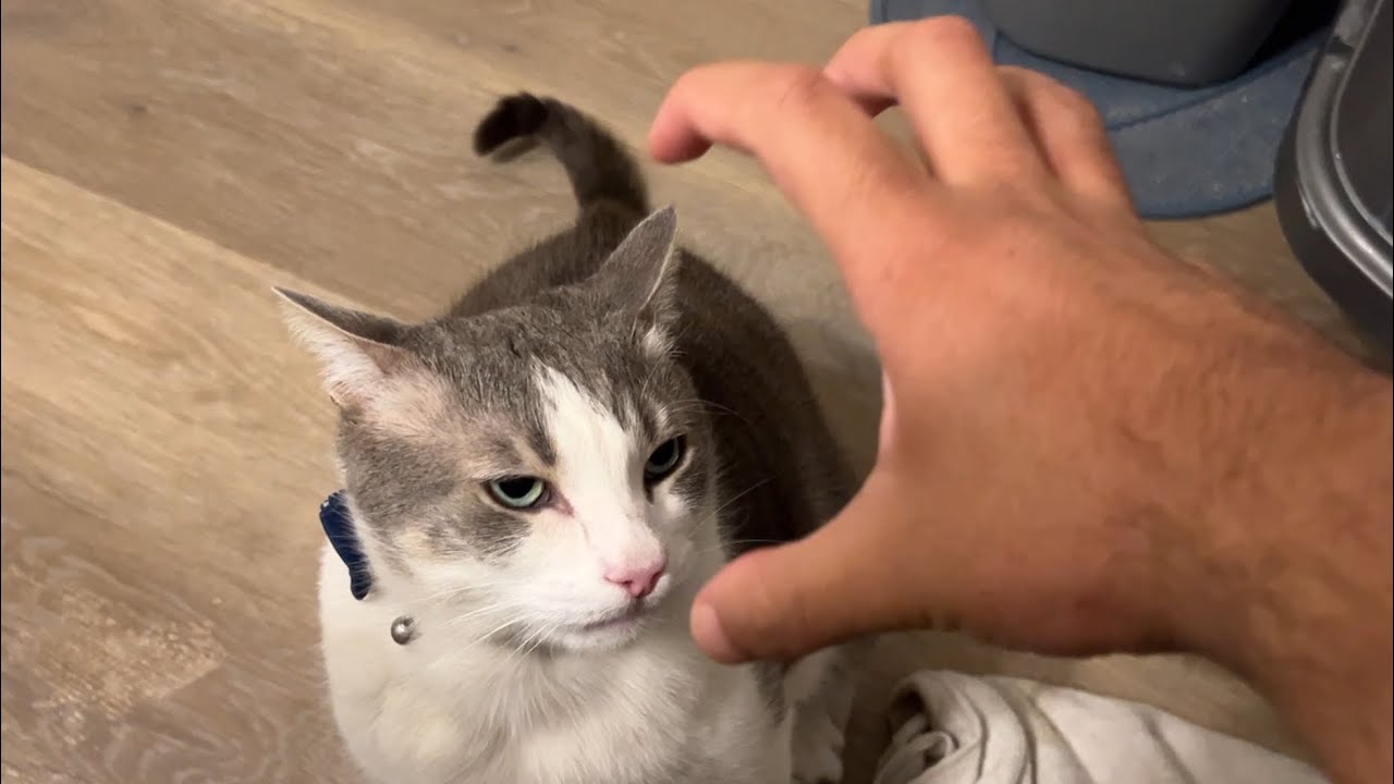The Classic Claw hand