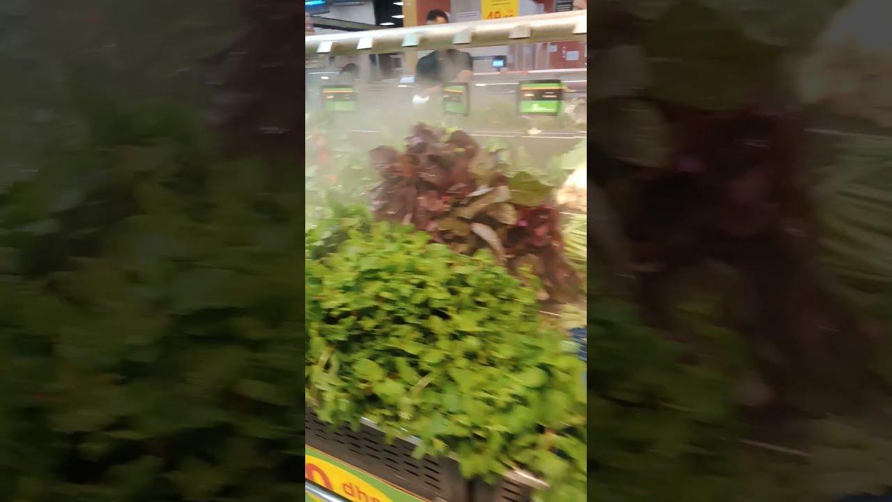 Herb Heaven: Exploring the World of Fresh Herbs and their Culinary Magic | #shorts | AQ Meal