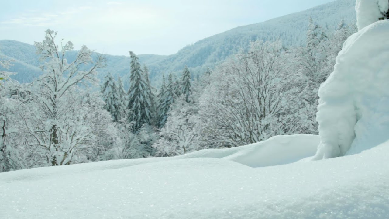 Le Foreste patrimonio dell’Umanità in inverno