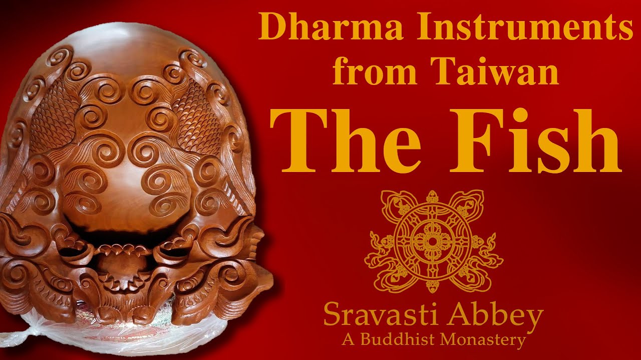 Fish—Dharma Instruments Are Arriving!