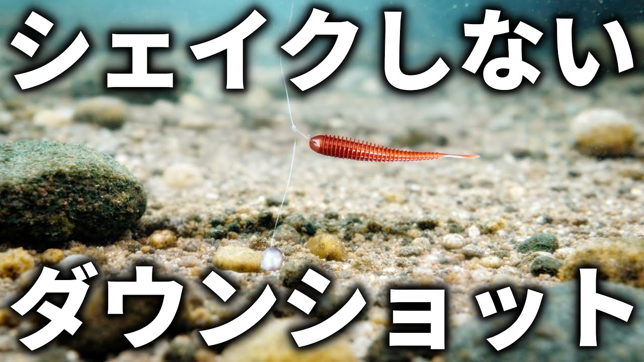 【結論】ダウンショットはシェイクしない方が釣れるしメリットだらけ【バス釣り】
