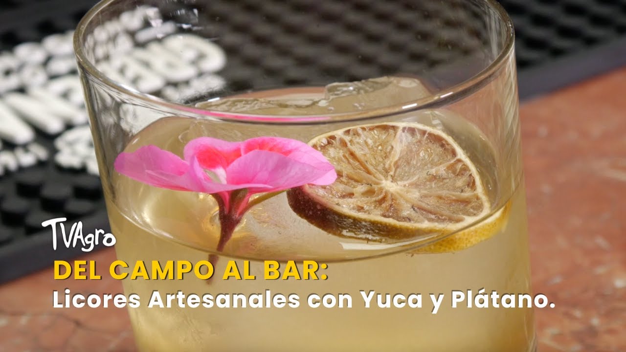 Del Campo al Bar: Licores Artesanales con Yuca y Plátano - TvAgro por Juan Gonzalo Angel