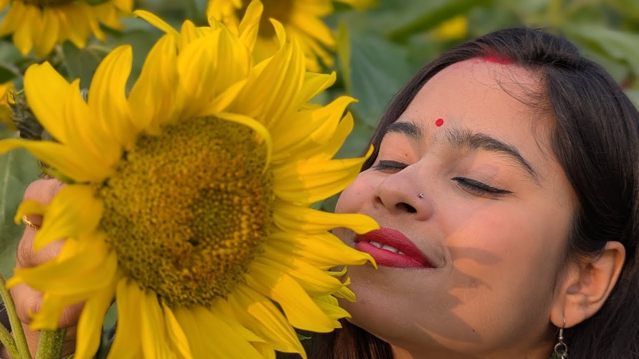 জাহাঙ্গীরনগর বিশ্ববিদ্যালয়ের কাছে সাভারের সিন্দুরিয়াতে সূর্যমুখী ফুলের বাগান 🌻