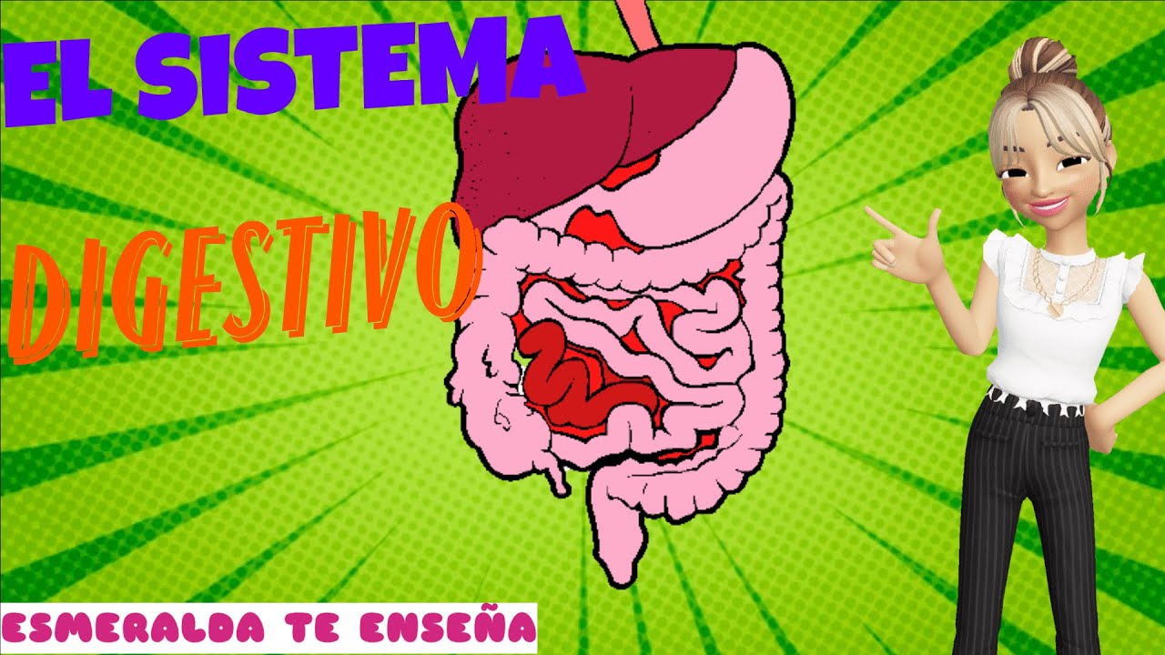 El Sistema Digestivo | El Cuerpo Humano | Esmeralda Te Enseña