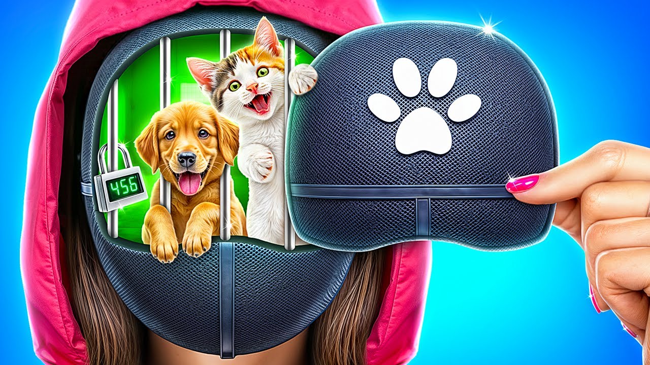 動物たちを助け出した！身寄りのないペットたちの大変身！