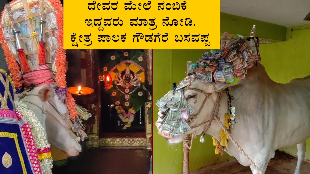 ದೇವರ ಮೇಲೆ ನಂಬಿಕೆ ಇದ್ದವರು ಮಾತ್ರ ನೋಡಿ | #gowdagere #basavappa #chamundeshwari
