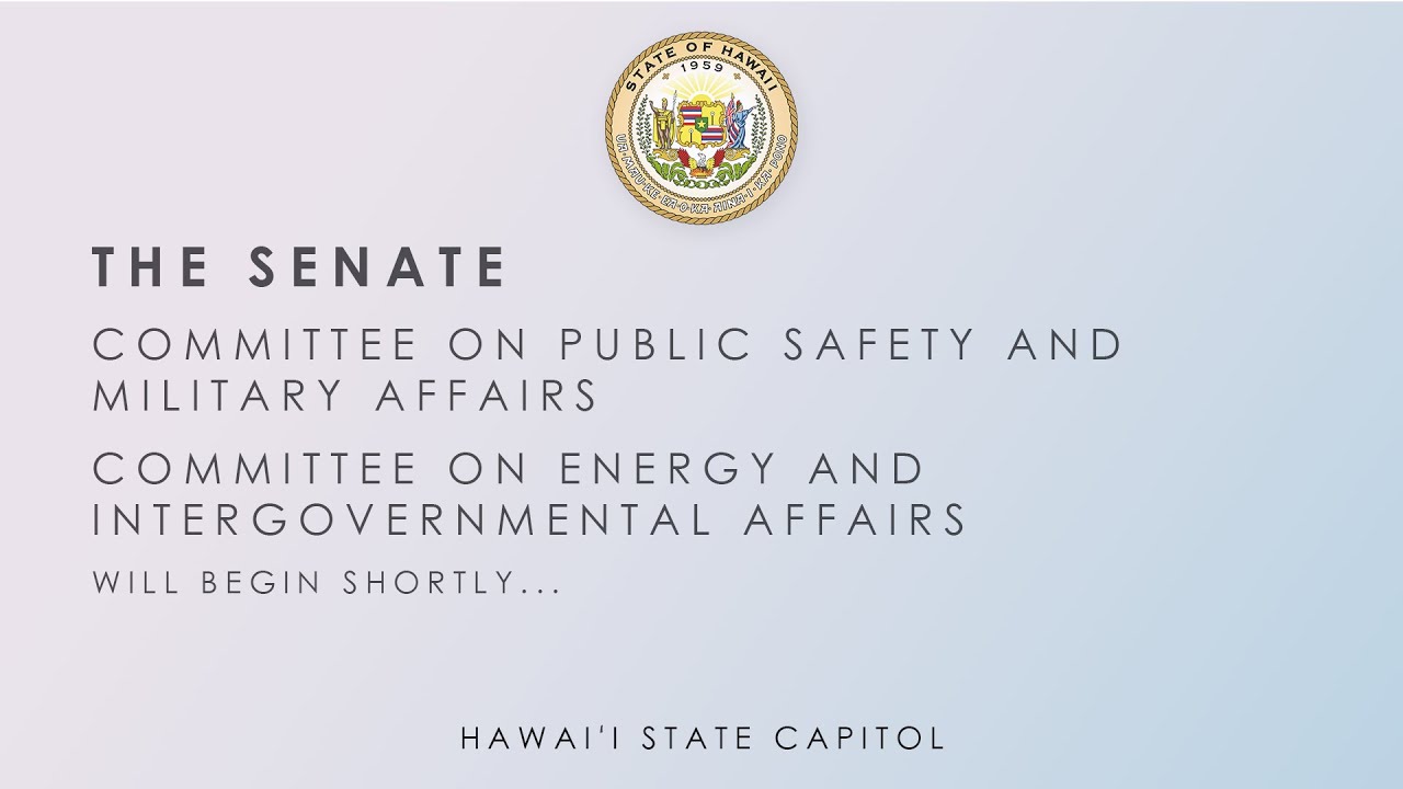 PSM-EIG, PSM-HHS, PSM-TCA, PSM Public Hearings 04-11-2025