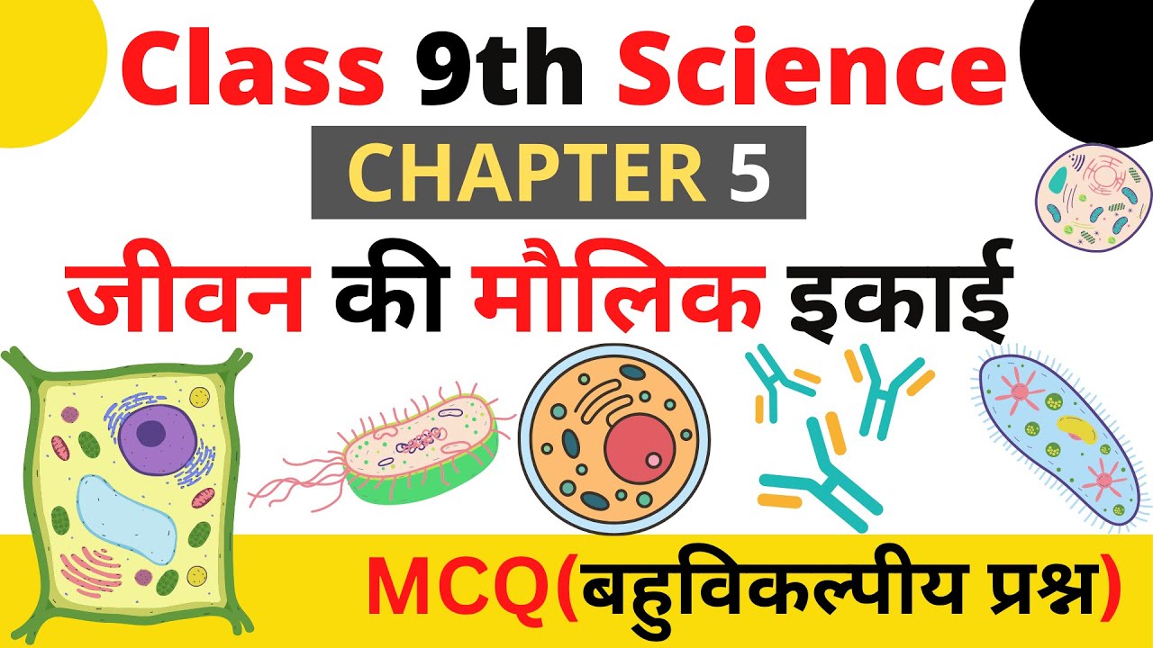 Jivan ki maulik ikai Class 9 objective question II The Fundamental Unit Of life Class 9 MCQ