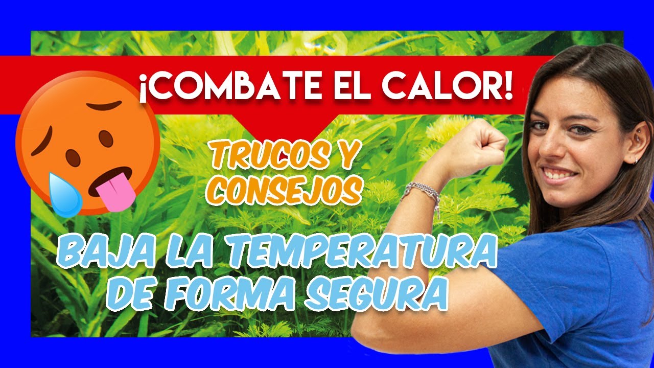 Cómo BAJAR LA TEMPERATURA DEL ACUARIO - Consejos y trucos para combatir el calor 🔥