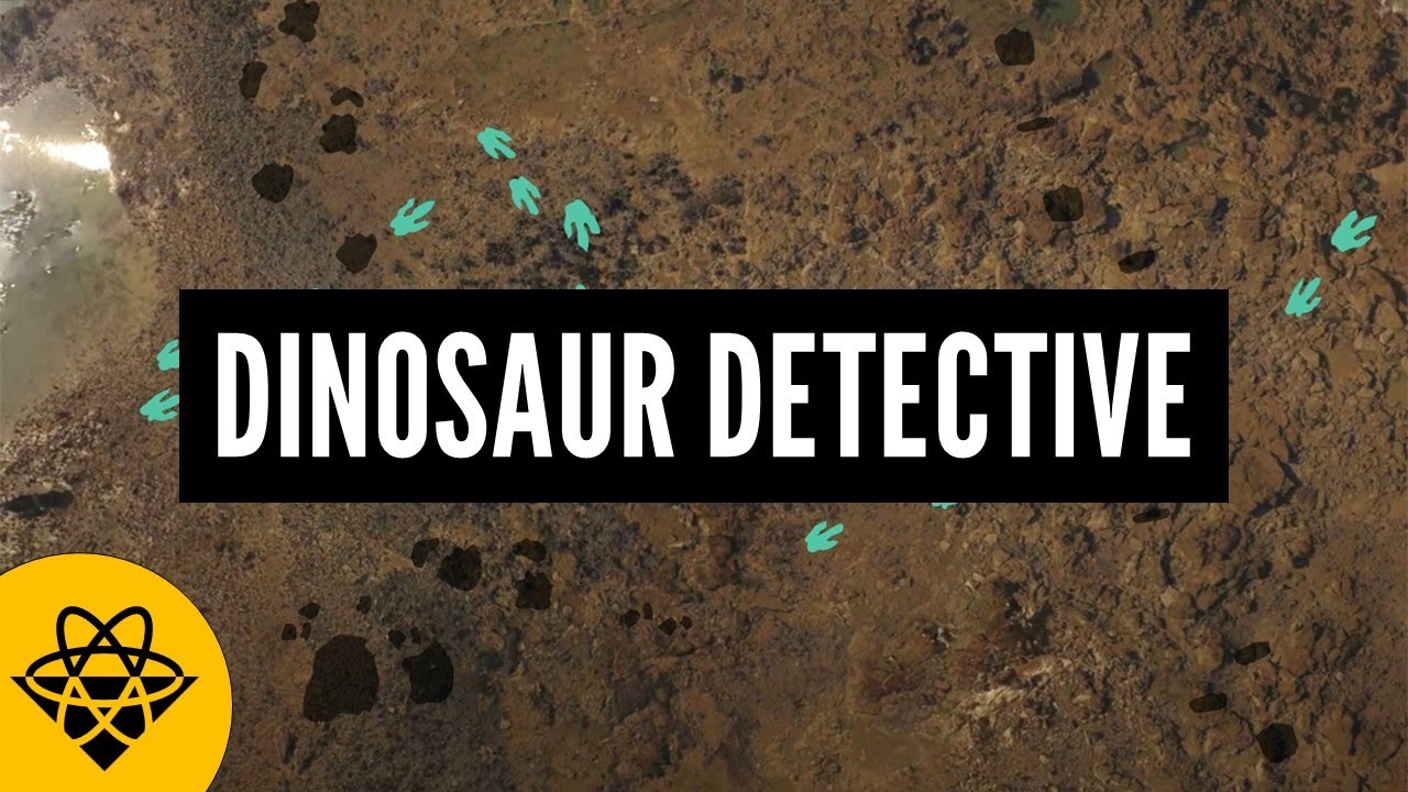 How Do Dinosaur Footprints Work?