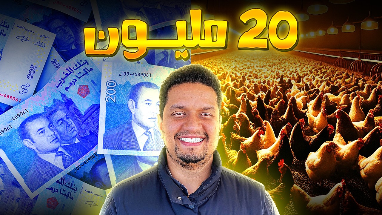 20 مليون شهريا ربح من تربية الدجاج | أسرار لأول مرة تكشف 🤯