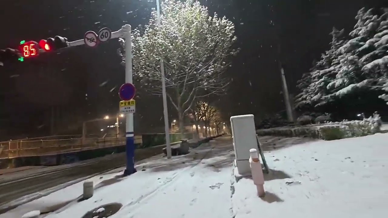 【闲聊】雪夜睡不着，外面瞎溜达 #生活记录vlog #雪夜 #雪
