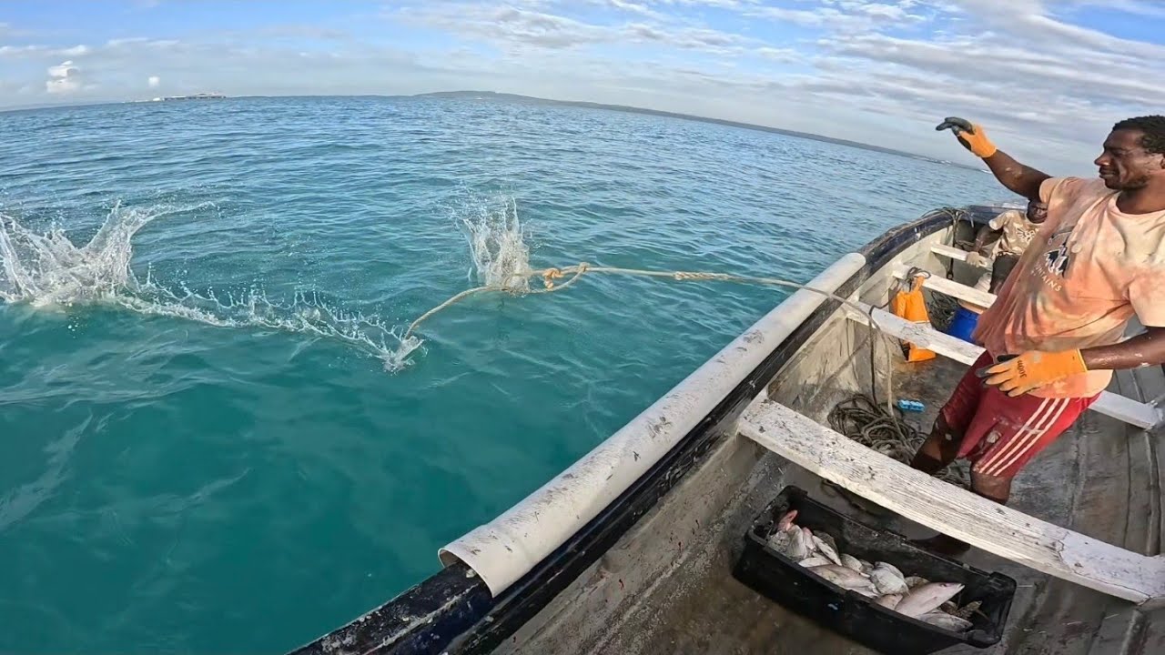 Epic Deep Water Snapper Fishing 8miles out, LANE SNAPPERS!!!