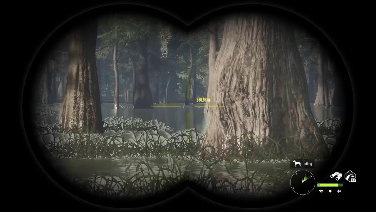[TheHunter: COTW] Multi hopping while taking a boar break! #hunting #cotw #thehunter