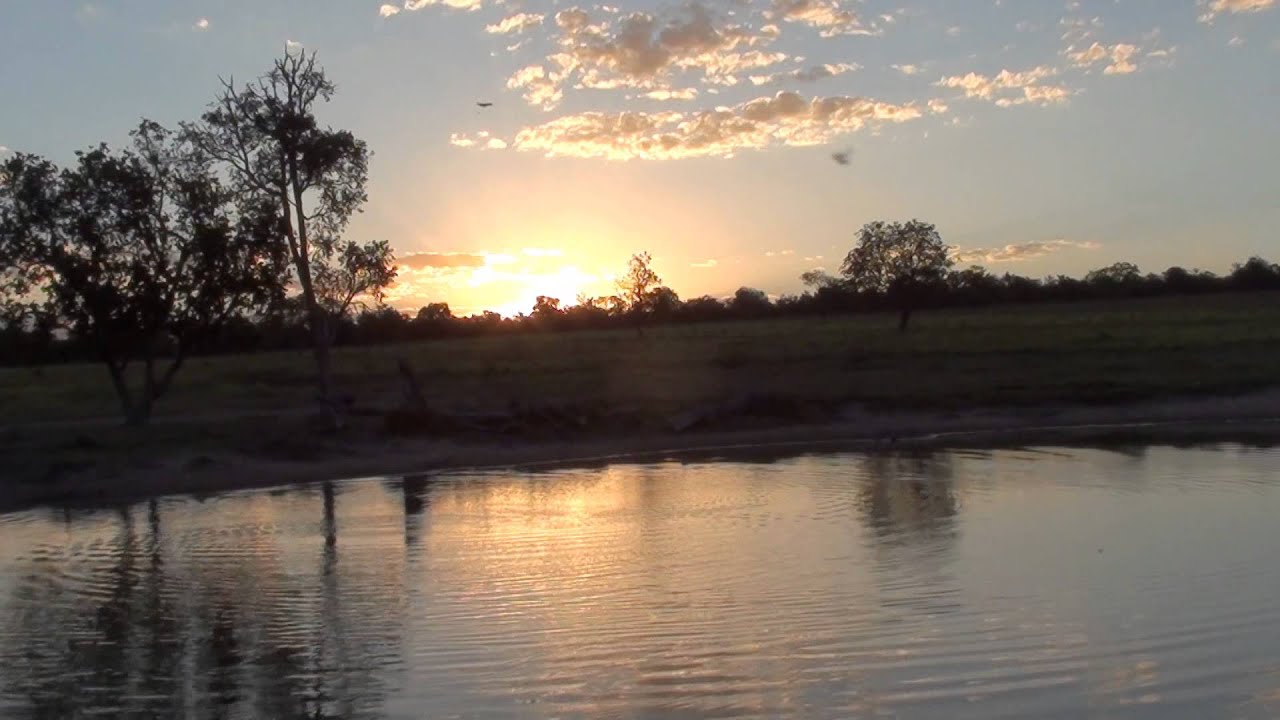 PÔR DO SOL, SONS E CORES DO ENTARDECER NO CAMPO, RELAXAMENTO CAIPIRA, CANTO DE PÁSSAROS, NATUREZA.