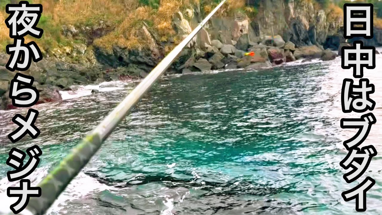 【伊豆大島/松崎】渋めの厳寒期に突入！？軽めのタックルや仕掛けに変えたらどうなる？🤔
