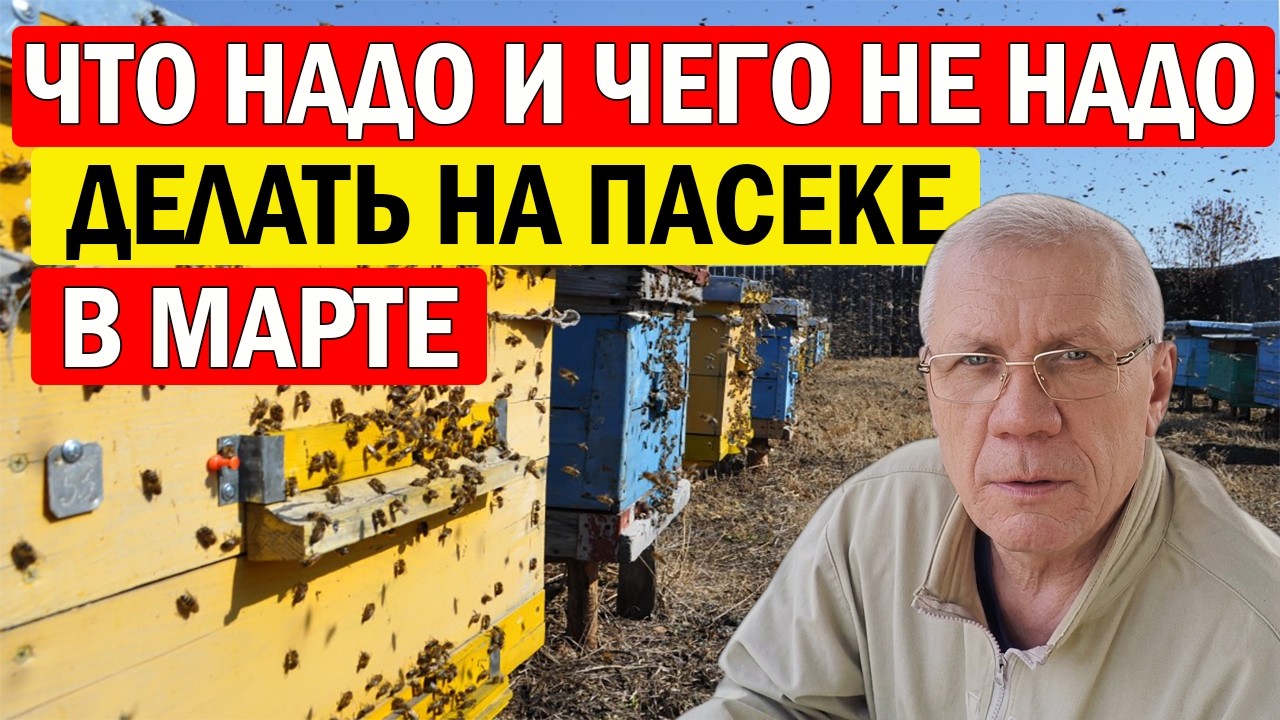 Почему март — ключевой месяц для пчеловодов? Узнайте Все Секреты!