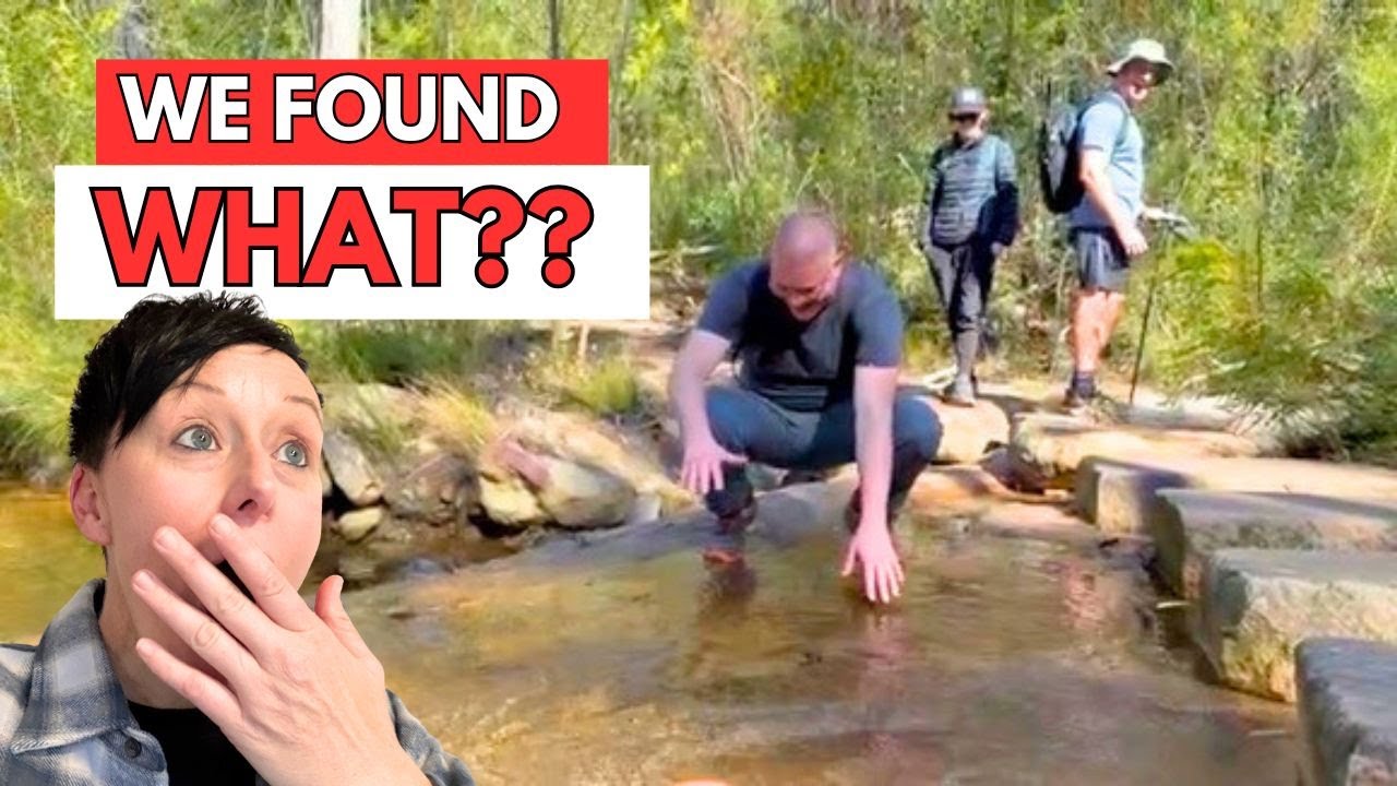 WOMBATS WERE HERE – But Where Are They Now?!