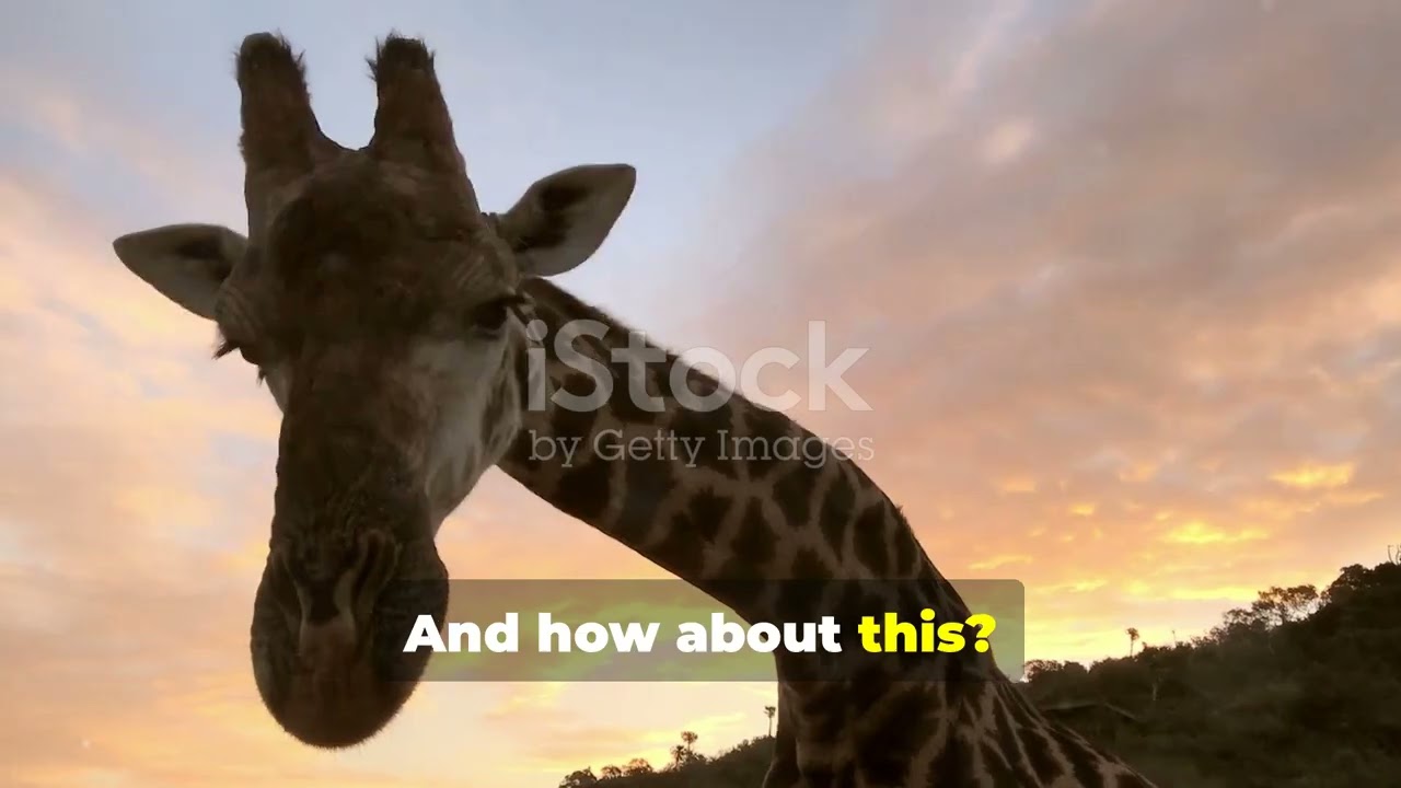 Surprising Animal Traits You Won&rsquo;t Believe!
