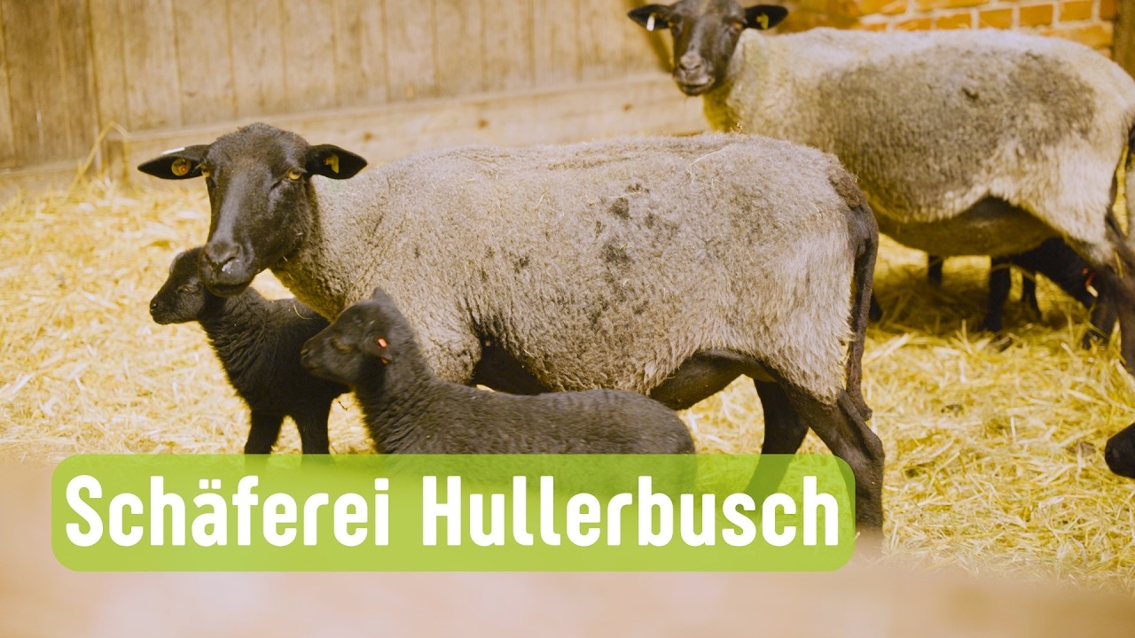 Schäferei Hullerbusch
