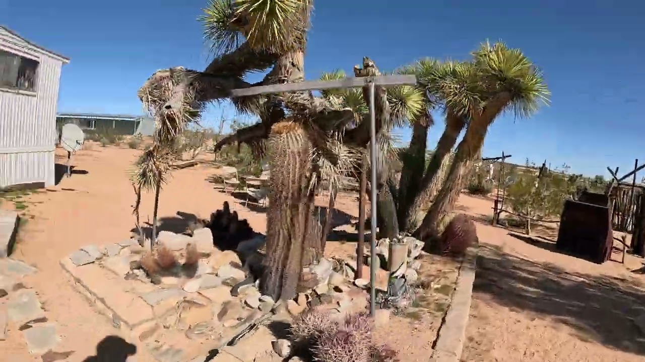 Noah Purifoy Outdoor Desert Art Museum