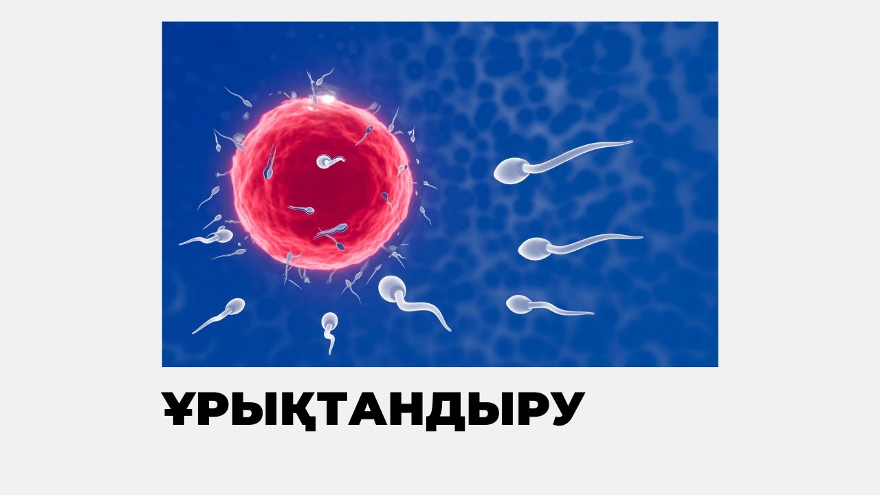 ҰРЫҚТАНДЫРУ ЖАЙЛЫ  | ЕR DENSAULYGY