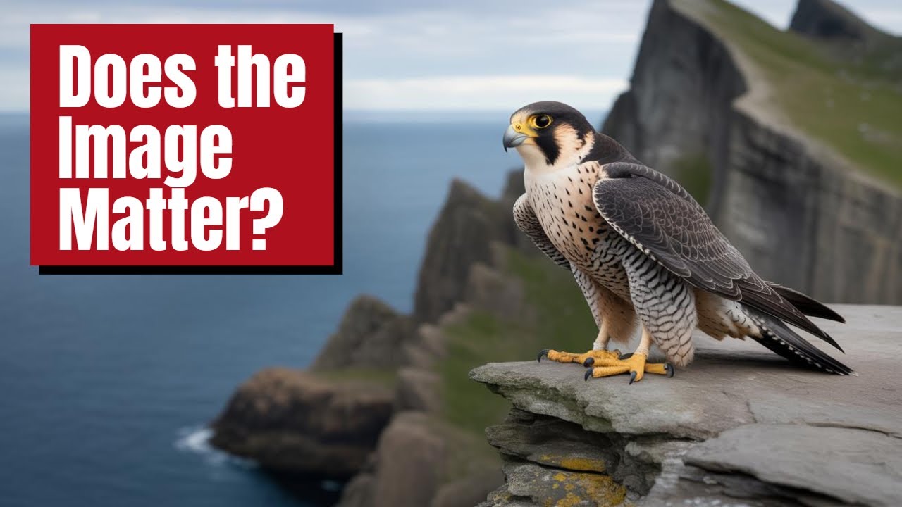 Sometimes the Images Don't Matter - Peregrine Falcons on the Edge!