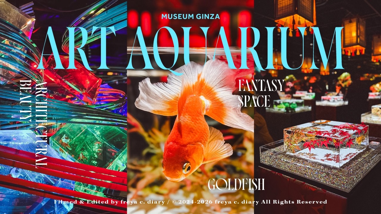 東京銀座最夢幻金魚水族館🫧光影裡的小小金魚庭園🎐 | ART AQUARIUM 美術館 GINZA | freya c. diary