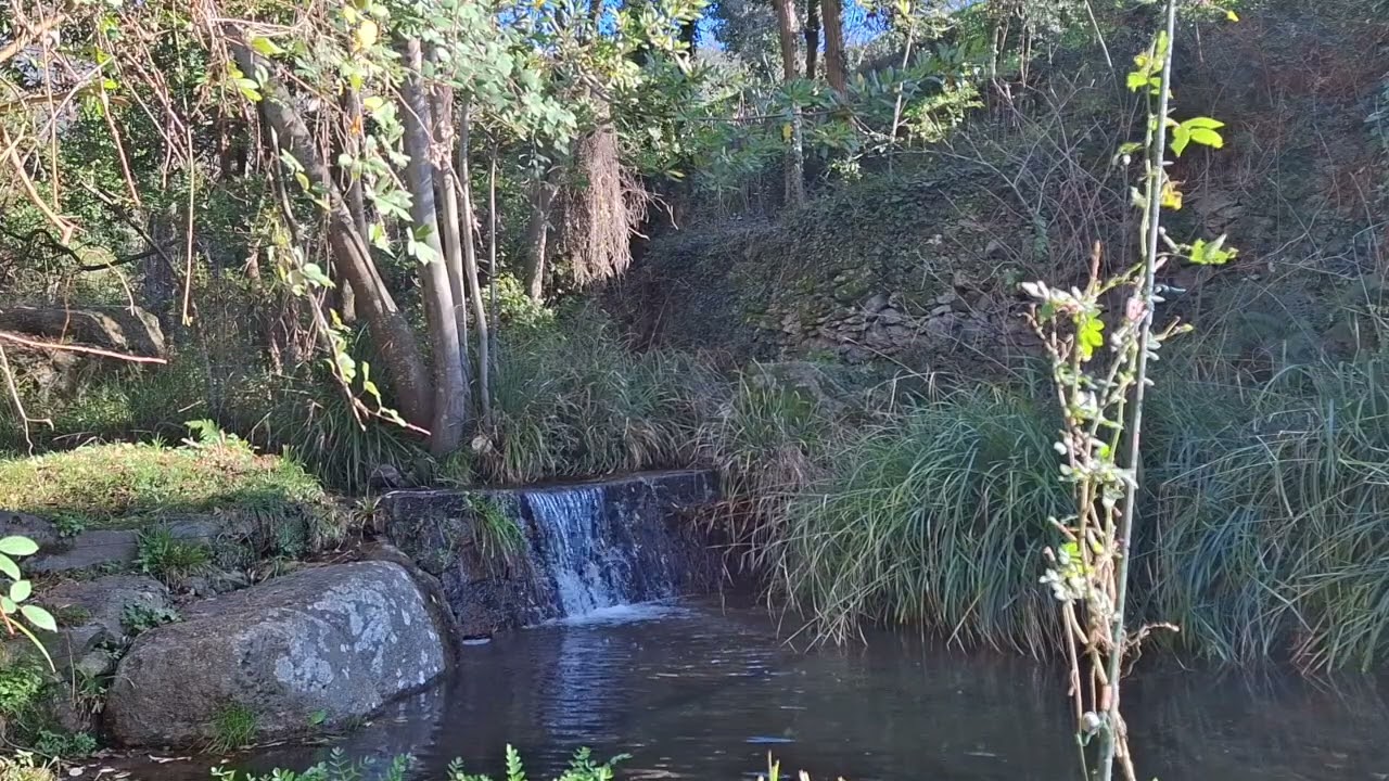 Relaxing water sound
